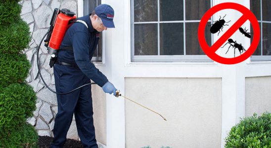 Yavuzeli Böcek İlaçlama böcek ilaçlama ve haşere kontrolü — ilaclama-tr.com